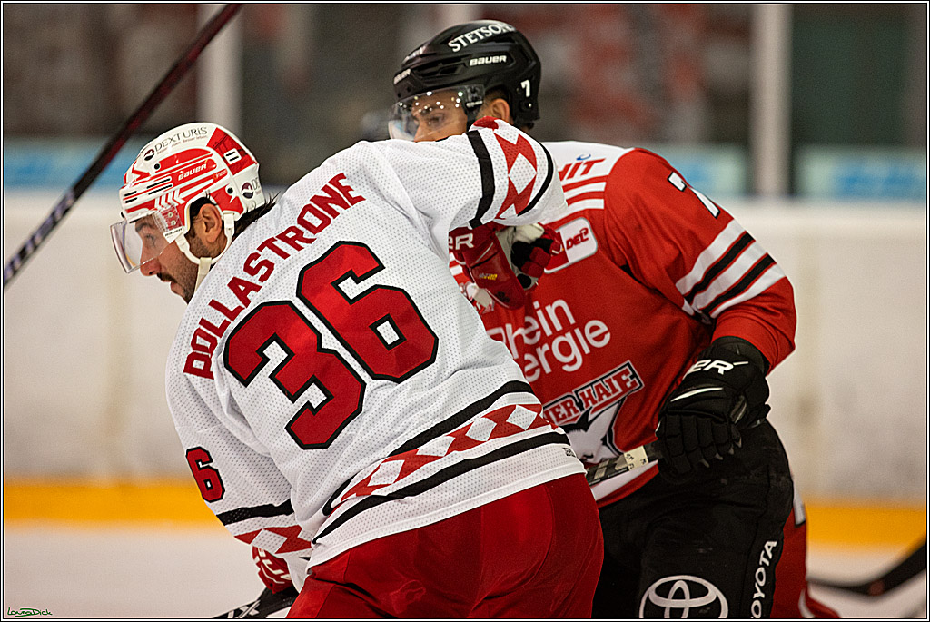 PENNY DEL; Testspiel Koelner Haie- EC Bad Nauheim; Koeln, 02.09.2022